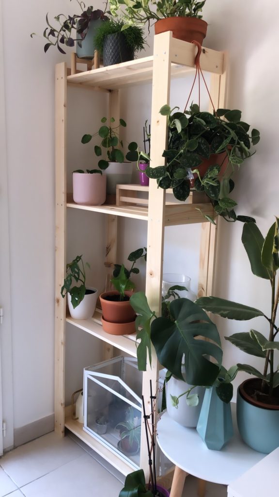 etagere a plantes